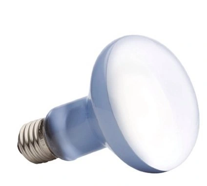 Exo Terra Day Glo Spot 75 w med UVA